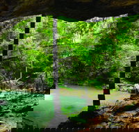 Buderim - Accommodation Guide