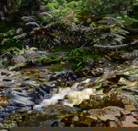 Budderoo National Park - Accommodation Asia