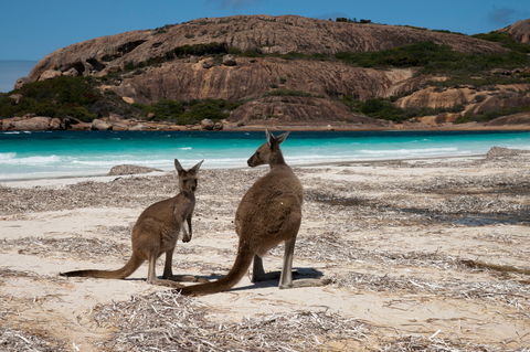 Cape Le Grand National Park - Accommodation China 0