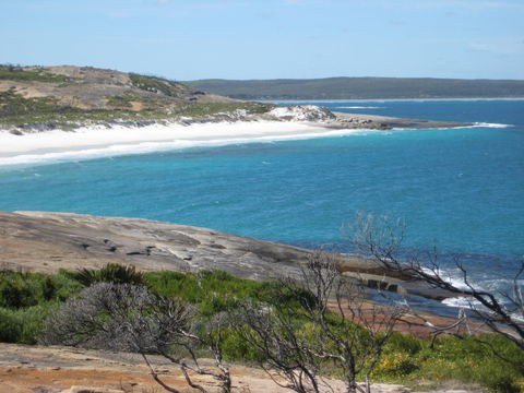 Cape Arid National Park - Accommodation Asia 1