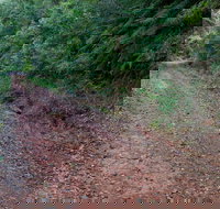 Cascade mountain bike trail - Accommodation China