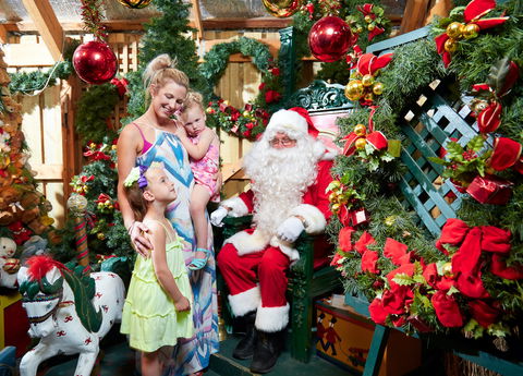 Christmas Tree Farm - Accommodation Guide 2