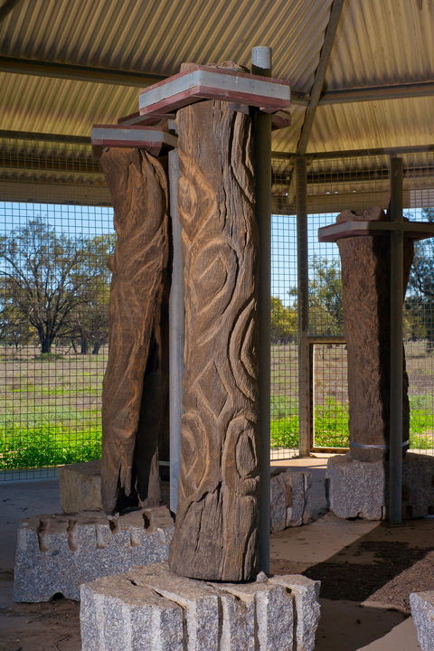 Collymongle Carved Trees - Accommodation Asia 1