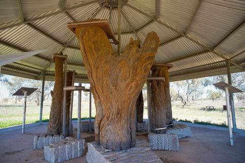 Collymongle Carved Trees - Accommodation Asia 2