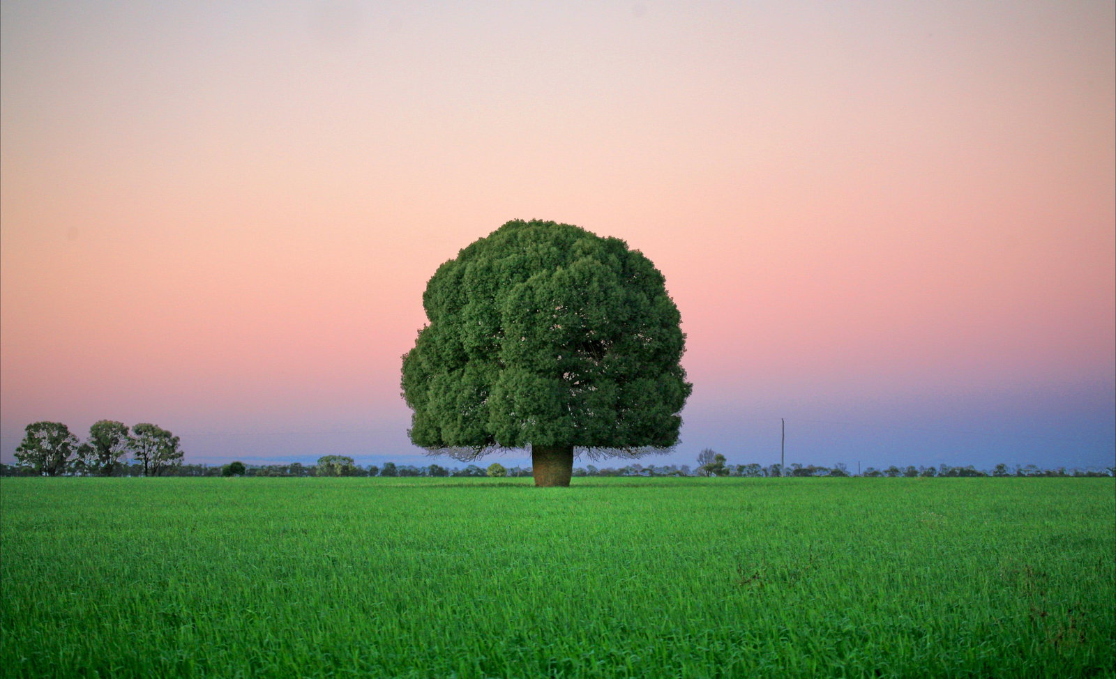 Condamine QLD Accommodation China