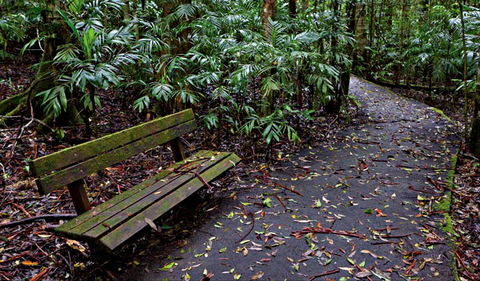 Coombadjha Nature Stroll - Accommodation Asia 0
