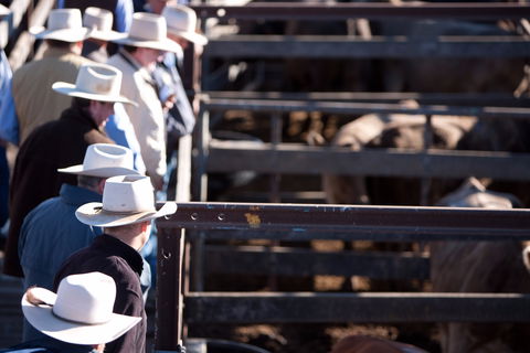 Dalby - Accommodation Asia 0