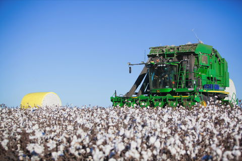 Dalby - Accommodation Asia 2