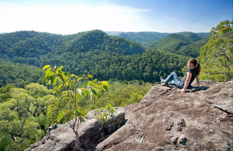 Dubbo Gully Loop Trail - Accommodation Asia 0