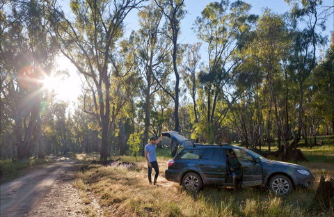 Forest Drive, Murrumbidgee Valley National Park - Accommodation Guide 0