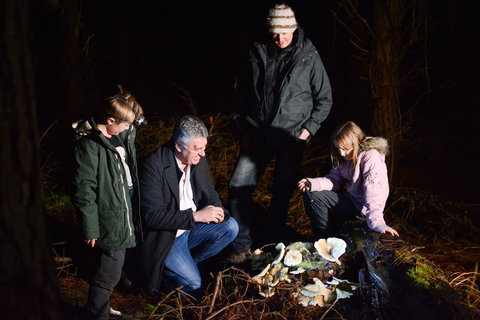 Ghost Mushroom Lane - Accommodation Asia 2