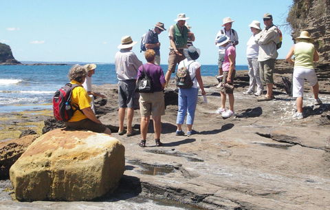 Gondwana Coast Fossil Walk - Accommodation Guide 0
