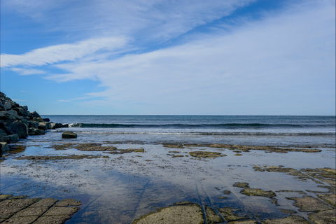 Gondwana Coast Fossil Walk - Accommodation Guide 1