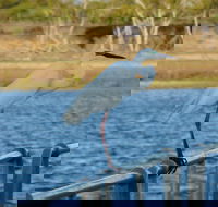 Groper Creek - Accommodation Guide