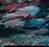 Hiros Cave and The Tubes - Accommodation China