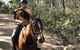 Horse Riding Tasmania - thumb 2
