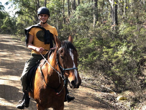 Horse Riding Tasmania - Accommodation Guide 2