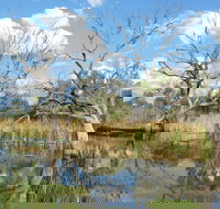 Lagoon Creek - Accommodation Guide