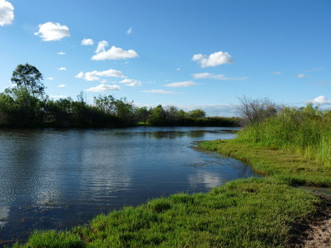 Lagoon Creek - Accommodation Asia 2