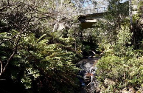 Leura Cascades - Accommodation China 2