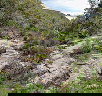 Lynchs Loop Trail - Accommodation Guide