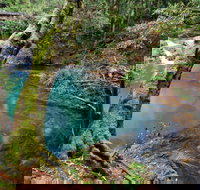 Mobong walking track - Accommodation China