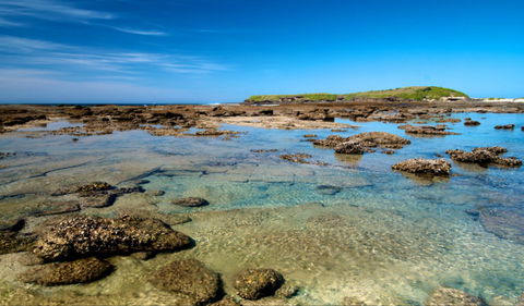 Moonee Beach Trail - Accommodation Asia 0