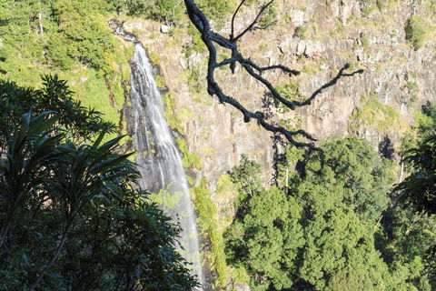 Morans Falls Track, Lamington National Park - Accommodation Asia 0