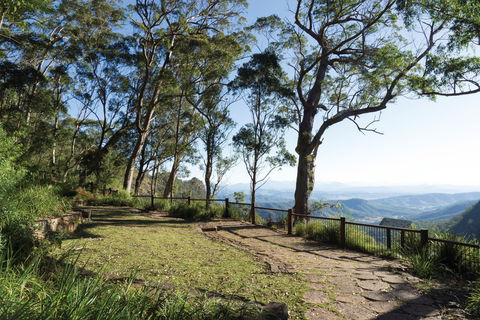 Morans Falls Track, Lamington National Park - Accommodation Asia 1