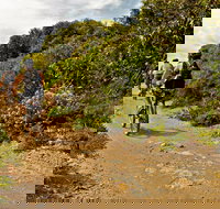 Mountain Biking Trails - Accommodation Asia