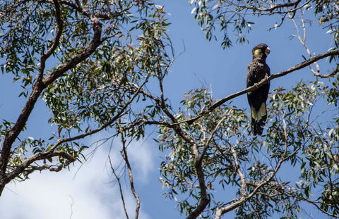 Mummel Gulf National Park - Accommodation China 0