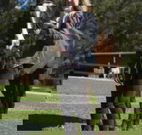 Otford Farm Horse Riding - Accommodation China