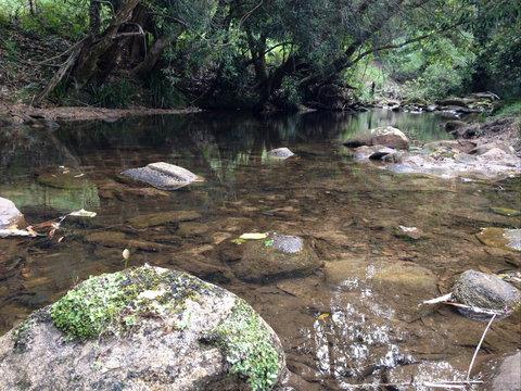 Otford Farm Horse Riding - Accommodation China 2