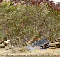 Owen Springs Reserve - Accommodation Guide