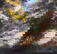 Pheasants Nest - Accommodation Asia