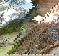 Pilliga National Park - Accommodation Asia