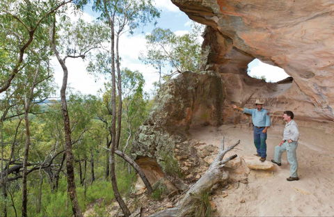 Pilliga National Park - Accommodation Asia 0