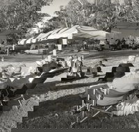 Pioneer Park - Accommodation Asia