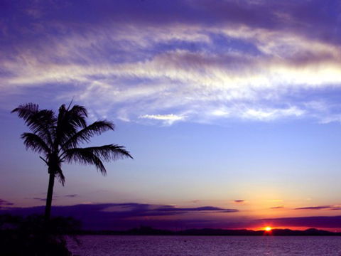 Quoin Island Retreat And Turtle Rehabilitation Centre - Accommodation China 0