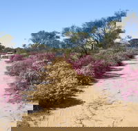 Reynoldson's Flora Reserve - Accommodation Asia