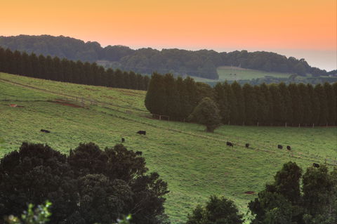 Robertson Heritage Railway Station - Accommodation Guide 2
