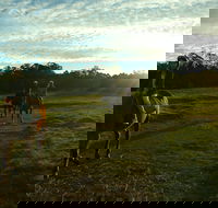 Scenic NSW Horse Riding Centre - Accommodation Guide