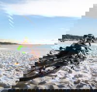 St Helens Mountain Bike Trails - Accommodation China