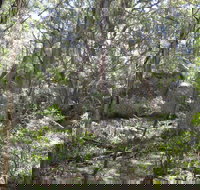 Tallaganda National Park - Accommodation Asia