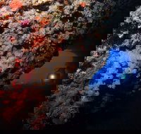 The Blowhole - Accommodation China