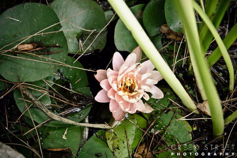 The Beach Bible Garden - Accommodation Asia 0