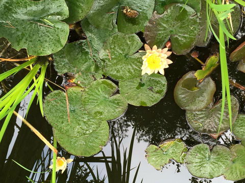 The Beach Bible Garden - Accommodation Asia 2