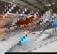 The Equine Club - Accommodation Guide