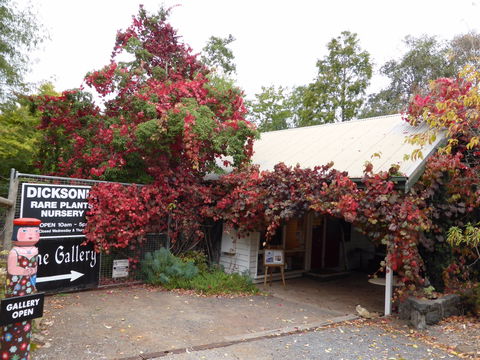 The Gallery Mt Macedon - Accommodation China 0