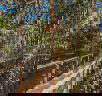 TreeTops Sydney The Hills